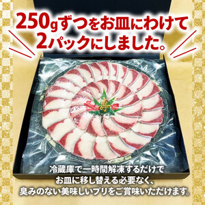 ぶり スライス 冷凍 合計 500g （ 250g × 2皿 ）  ぶりしゃぶ ブリ刺し身 美味しいぶり 特許ぶり 愛媛のぶり 人気の鰤 超冷燻ぶり 鰤カルパッチョ 愛媛県 愛南町 オンスイ 