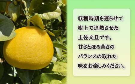 訳あり 完熟 土佐文旦 約10kg 柑橘 フルーツ 果物 みかん 蜜柑 文旦 ポンカン 温州みかん 河内晩柑 せとか 紅まどんな ぶんたん レモン ブラッドオレンジ デコポン 不知火 みかん ゼリー ジュース ビタミンC 健康 美容 サイズミックス エニシトラス 愛媛県 愛南町 発送期間:2025年4月上旬～4月下旬(なくなり次第終了)