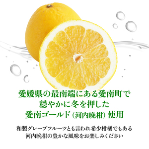 大人のCRAFT無糖サワーと愛南ゴールドのチューハイ 飲み比べセット 350ml×18本 父の日 チューハイ 詰め合わせ 柑橘 酒 アルコール 無糖  酎ハイ クラフトサワー 河内晩柑 果実 フルーツ  愛南ゴールド アシード アスター 缶 愛媛県 愛南町 Yショップ西海 