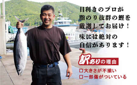 訳あり かつおのたたき 400g 冷凍かつお 一本釣り鰹 人気かつおのたたき カツオタタキ かつおたたき 鰹のたたき 鰹タタキ 愛媛県 愛南町 ハマスイ