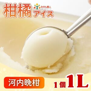 アイス 河内晩柑 1000ml アイス 武田屋 河内晩柑