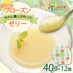 河内晩柑 フローズン ゼリー 12個 ゼリー 武田屋