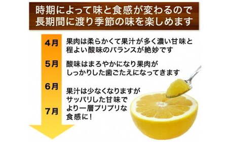 訳あり 河内晩柑 愛南ゴールド 3kg 河内晩柑 清家bv