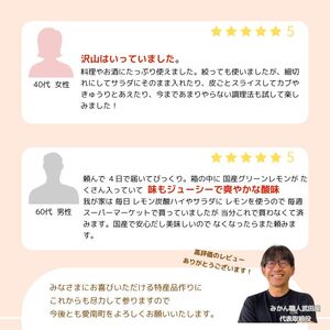 訳あり レモン 3kg 愛媛県 愛南町 みかん職人武田屋【レモン】