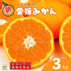 訳あり 愛媛みかん 3kg 【発送期間：9月中旬から1月中旬】 国産みかん 温州みかん 柑橘 果物 フルーツ 甘いみかん おすすめみかん  みかん職人武田屋 愛媛県 愛南町