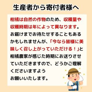 訳あり 愛媛みかん 3kg 【発送期間：9月中旬から1月中旬】 国産みかん 温州みかん 柑橘 果物 フルーツ 甘いみかん おすすめみかん  みかん職人武田屋 愛媛県 愛南町