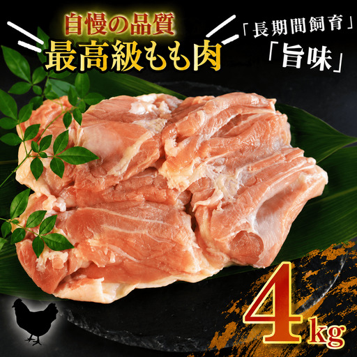 地鶏 愛媛 媛っこ地鶏 もも肉 約5kg