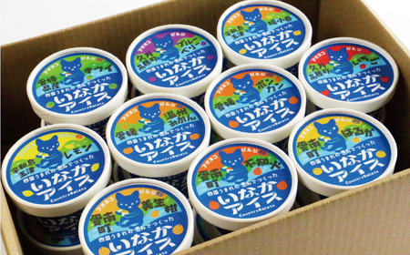 愛媛 カップ アイス 20個 アイス