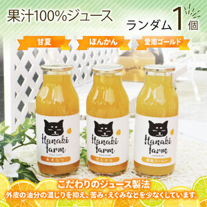 柑橘 ジュース お菓子 セット6種 ジュース 柑橘柑橘柑橘柑橘