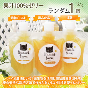 柑橘 ジュース お菓子 セット6種 ジュース 柑橘柑橘柑橘柑橘