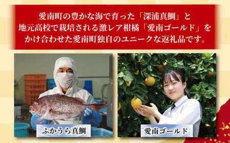 訳あり かつおのたたき 1kg と 愛南ゴールド 真鯛 200g お試し カツオたたき 鰹たたき 真鯛刺し身 真鯛しゃぶしゃぶ 真鯛漬け丼 海鮮丼 みかん 柑橘 藻塩 刺身 愛南町 愛媛県 ハマスイ