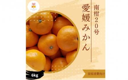 訳あり 愛媛みかん 南柑20号 6kg みかん エニシトラス