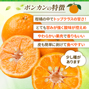 【愛南産ポンカン】訳ありポンカン 3kg