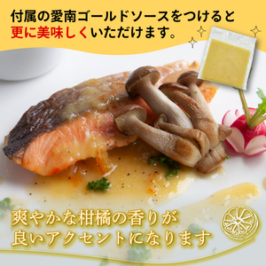 【サーモン】 国産 鮭 750g サーモン 鮭