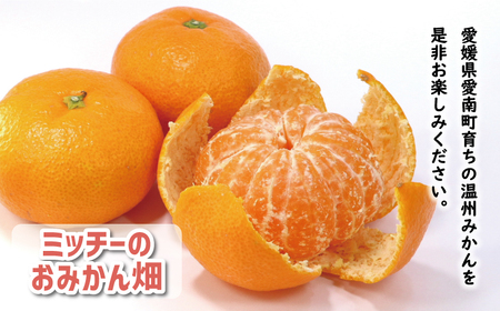 先行予約 訳あり 温州みかん 5kg 7000円 愛媛 みかん こたつ みかん 愛媛みかん ミカン mikan 家庭用 産地直送 国産 農家直送 糖度 果樹園 期間限定 数量限定 特産品 ゼリー ジュース アイス 人気 限定 甘い 果実 果肉 フルーツ 果物 柑橘 蜜柑 先行 事前 予約 受付 ビタミン 健康 おいしい ジューシー 規格外 サイズ ミックス 愛南町 愛媛県 ミッチーのおみかん畑【micchi33】