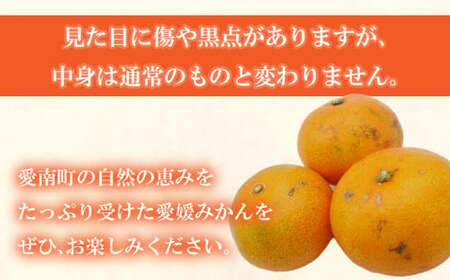 先行予約 訳あり 愛媛みかん 3.5kg  国産みかん 温州みかん 柑橘 果物 フルーツ 甘いみかん おすすめみかん 愛南町 愛媛県 吉田農園