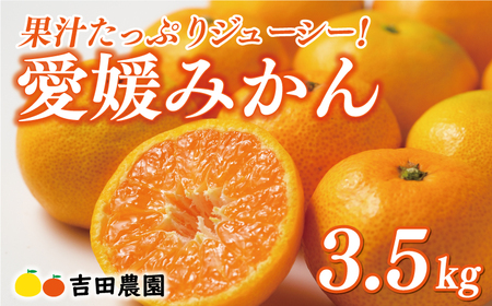 先行予約 愛媛みかん 3.5k 国産みかん 温州みかん 柑橘 果物 フルーツ 甘いみかん おすすめみかん 愛南町 愛媛県 吉田農園