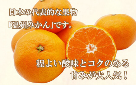 先行予約 愛媛みかん 3.5k 国産みかん 温州みかん 柑橘 果物 フルーツ 甘いみかん おすすめみかん 愛南町 愛媛県 吉田農園