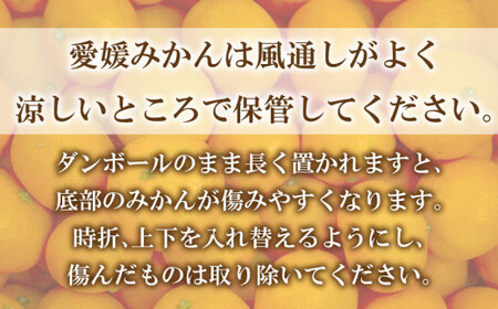 先行予約 愛媛みかん 3.5k 国産みかん 温州みかん 柑橘 果物 フルーツ 甘いみかん おすすめみかん 愛南町 愛媛県 吉田農園