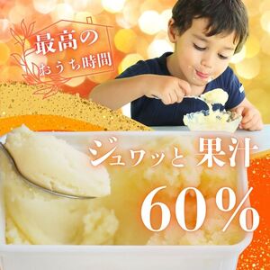 柑橘 アイス 愛媛みかん 1000ml アイス 武田屋