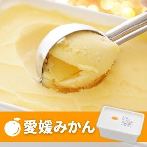 柑橘 アイス 愛媛みかん 1000ml アイス 武田屋