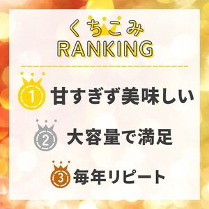 柑橘 アイス 夢オレンジ 1000ml アイス 武田屋