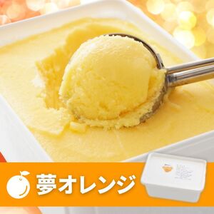 柑橘 アイス 夢オレンジ 1000ml アイス 武田屋