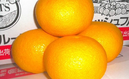 甘夏10kg