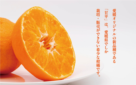 甘平 5kg かんぺい