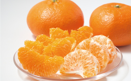 甘平 5kg かんぺい