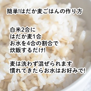 はだか麦 900g 5個セット 10000円 国産 大麦 麦 麦ごはん むぎ