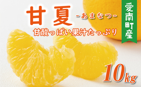 先行予約 贈答用 甘夏 10kg 10000円 樹齢25年 以上 みかん mikan 蜜柑 あまなつ 夏みかん グレープフルーツ だいだい 事前 予約 受付 産地直送 国産 農家直送 糖度 期間限定 数量限定 特産品 ゼリー マーマレード ピール ジュース デザート 人気 限定 おいしい  フルーツ 果物 柑橘 ビタミン 健康 美味しい サイズ ミックス 減農薬 くらもとファーム 愛南町 愛媛県