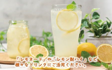 訳あり 愛媛 レモン 5kg