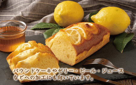 訳あり 愛媛 レモン 5kg