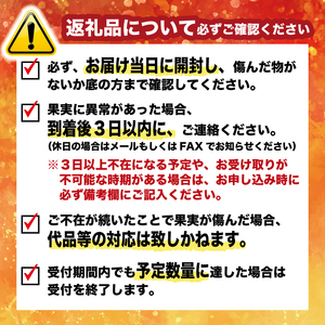 訳あり 晴姫 はれひめ 3kg 配送期間 12月上旬～なくなり次第終了 はれひめ 柑橘 訳あり美味しい柑橘 訳あり愛媛の柑橘 訳ありみかん  愛媛県 愛南町 みかん職人武田屋