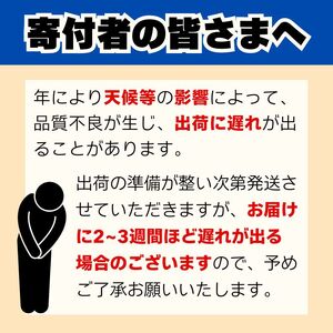 訳あり 晴姫 はれひめ 3kg 配送期間 12月上旬～なくなり次第終了 はれひめ 柑橘 訳あり美味しい柑橘 訳あり愛媛の柑橘 訳ありみかん  愛媛県 愛南町 みかん職人武田屋