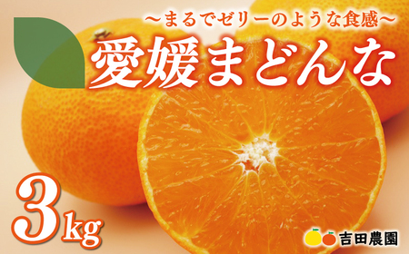 愛媛 まどんな 3kg みかん サイズミックス 18000円 愛果28号 紅まどんな 同品種 あいか アイカ 高級 人気 ブランド 柑橘 果物 フルーツ 数量限定 期間限定 産地直送 国産 農家直送 特産品 お取り寄せ ギフト プレゼント お歳暮 mikan 蜜柑 ミカン マドンナ スマイルカット 甘い おいしい ゼリー ぷるぷる 吉田農園 愛南町 愛媛県