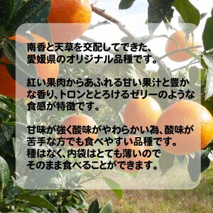 愛媛 まどんな 3kg みかん サイズミックス 18000円 愛果28号 紅まどんな 同品種 あいか アイカ 高級 人気 ブランド 柑橘 果物 フルーツ 数量限定 期間限定 産地直送 国産 農家直送 特産品 お取り寄せ ギフト プレゼント お歳暮 mikan 蜜柑 ミカン マドンナ スマイルカット 甘い おいしい ゼリー ぷるぷる 吉田農園 愛南町 愛媛県