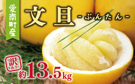 訳あり 文旦 13.5kg 10000円 ぶんたん みかん mikan 蜜柑 ミカン わけあり 家庭用 産地直送 国産 農家直送 糖度 期間限定 数量限定 特産品 ゼリー ジュース アイス 人気 限定 甘い 果実 果肉 フルーツ 果物 柑橘 ビタミン 健康 美味しい おいしい ジューシー 小玉 含む サイズ ミックス 規格外 傷み補償 500g ミッチーのおみかん畑 愛南町 愛媛県【micchi42】