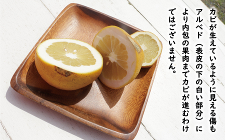 訳あり 文旦 13.5kg 10000円 ぶんたん みかん mikan 蜜柑 ミカン わけあり 家庭用 産地直送 国産 農家直送 糖度 期間限定 数量限定 特産品 ゼリー ジュース アイス 人気 限定 甘い 果実 果肉 フルーツ 果物 柑橘 ビタミン 健康 美味しい おいしい ジューシー 小玉 含む サイズ ミックス 規格外 傷み補償 500g ミッチーのおみかん畑 愛南町 愛媛県【micchi42】