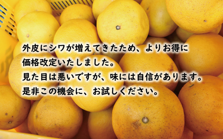 訳あり 文旦 13.5kg 10000円 ぶんたん みかん mikan 蜜柑 ミカン わけあり 家庭用 産地直送 国産 農家直送 糖度 期間限定 数量限定 特産品 ゼリー ジュース アイス 人気 限定 甘い 果実 果肉 フルーツ 果物 柑橘 ビタミン 健康 美味しい おいしい ジューシー 小玉 含む サイズ ミックス 規格外 傷み補償 500g ミッチーのおみかん畑 愛南町 愛媛県【micchi42】
