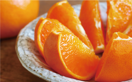 【2026年3月上旬頃発送】【先行予約】せとか 3kg みかんみかんみかんみかんみかんみかんみかんみかんみかんみかん