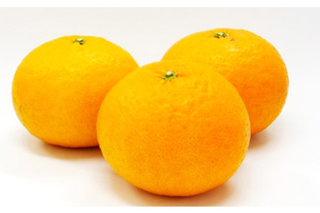 先行予約 甘夏 あまなつ みかん 5kg 吉田農園 甘夏 柑橘 みかん 果物