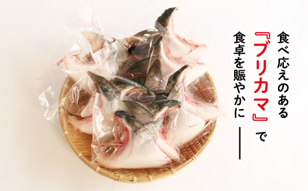 【鰤】 鰤 カマ 2切れ × 6