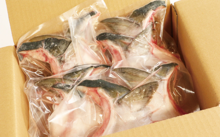 【鰤】 鰤 カマ 2切れ × 4