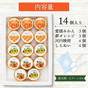 柑橘 アイス 4種 14個 アイス 武田屋