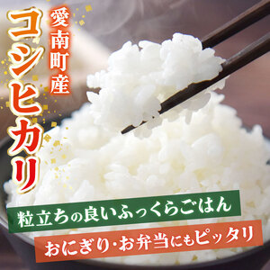 【 令和7年産 】 新米 コシヒカリ 5kg  和家農園 米米 