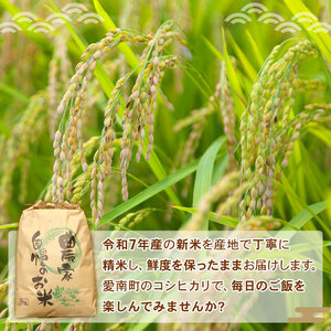 【 令和7年産 】 新米 コシヒカリ 5kg  和家農園 米米 