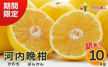 【訳あり】 みかん職人の河内晩柑  10kg (なくなり次第終了) 先行予約 河内晩柑 みかん職人武田屋