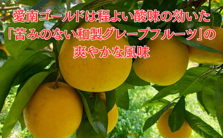 河内晩柑 8kg 河内晩柑 愛なんよ